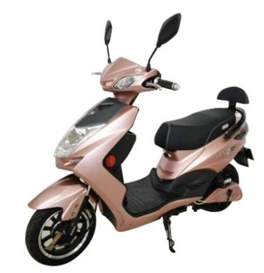 Moto à batterie pour adultes